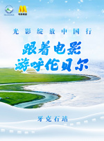大焦网